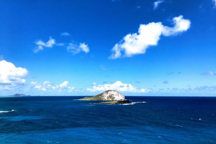 Rabbit-Island-by-LeaLea-Trolley-scenic-East-Coast-Tour