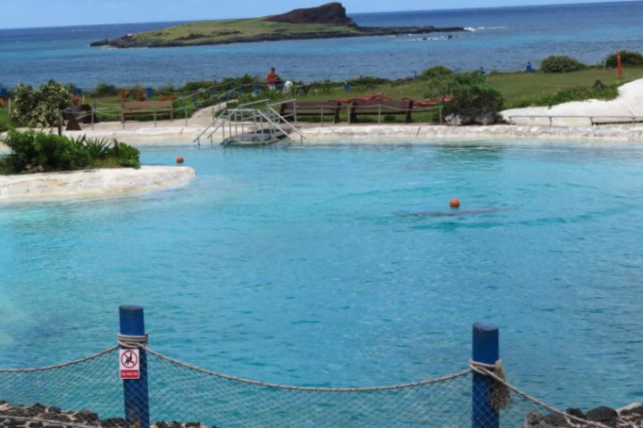 Visit Sea LIfe Park with LeaLea Trolley East Coast of Oahu LIne