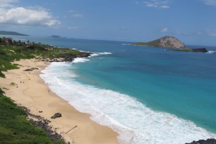 Rabbi Island Visit East Coast of Oahu LeaLea Trolley