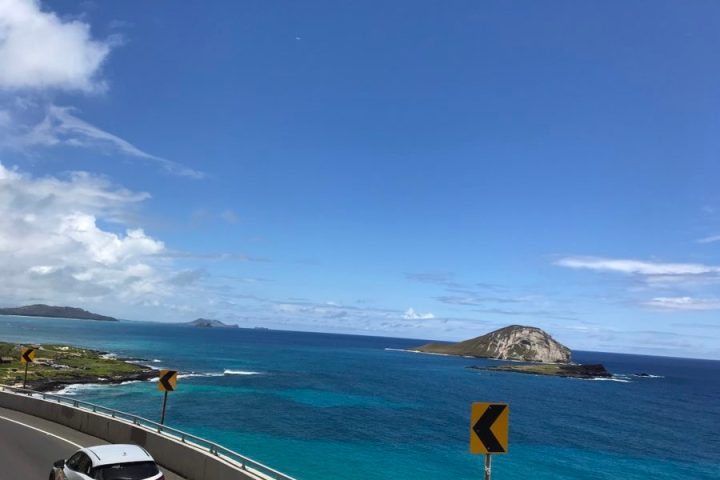 Rabbit Island from LeaLea Trolley East Coast Line