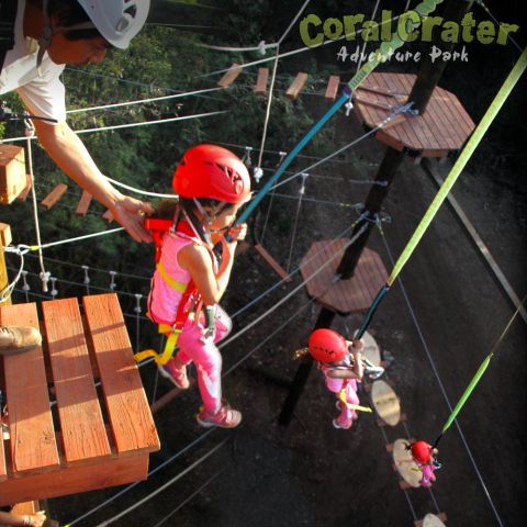 a group of people wearing costumes