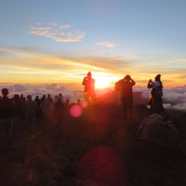 PolyAd - Haleakala Sunset group